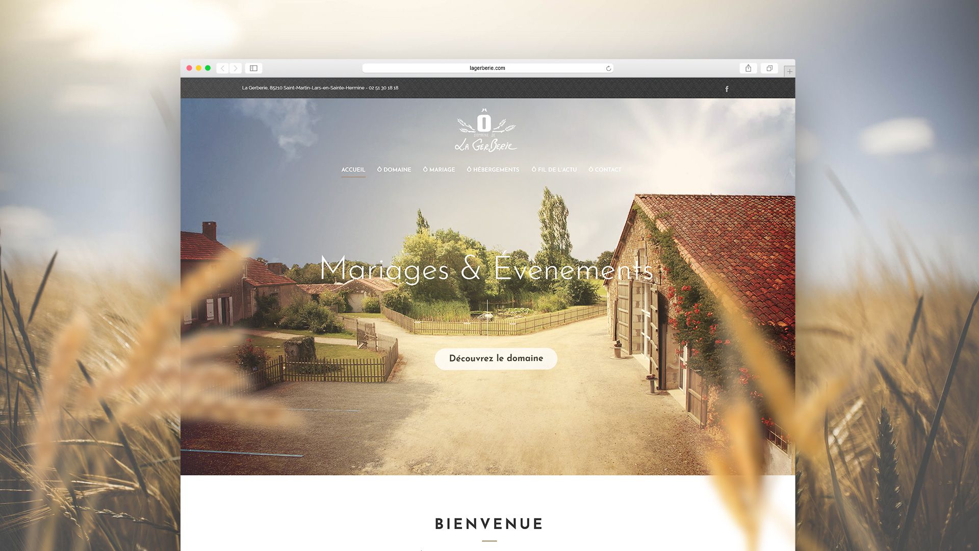 Gerberie-site-2
